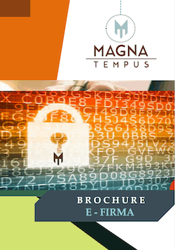 Magna Tempus